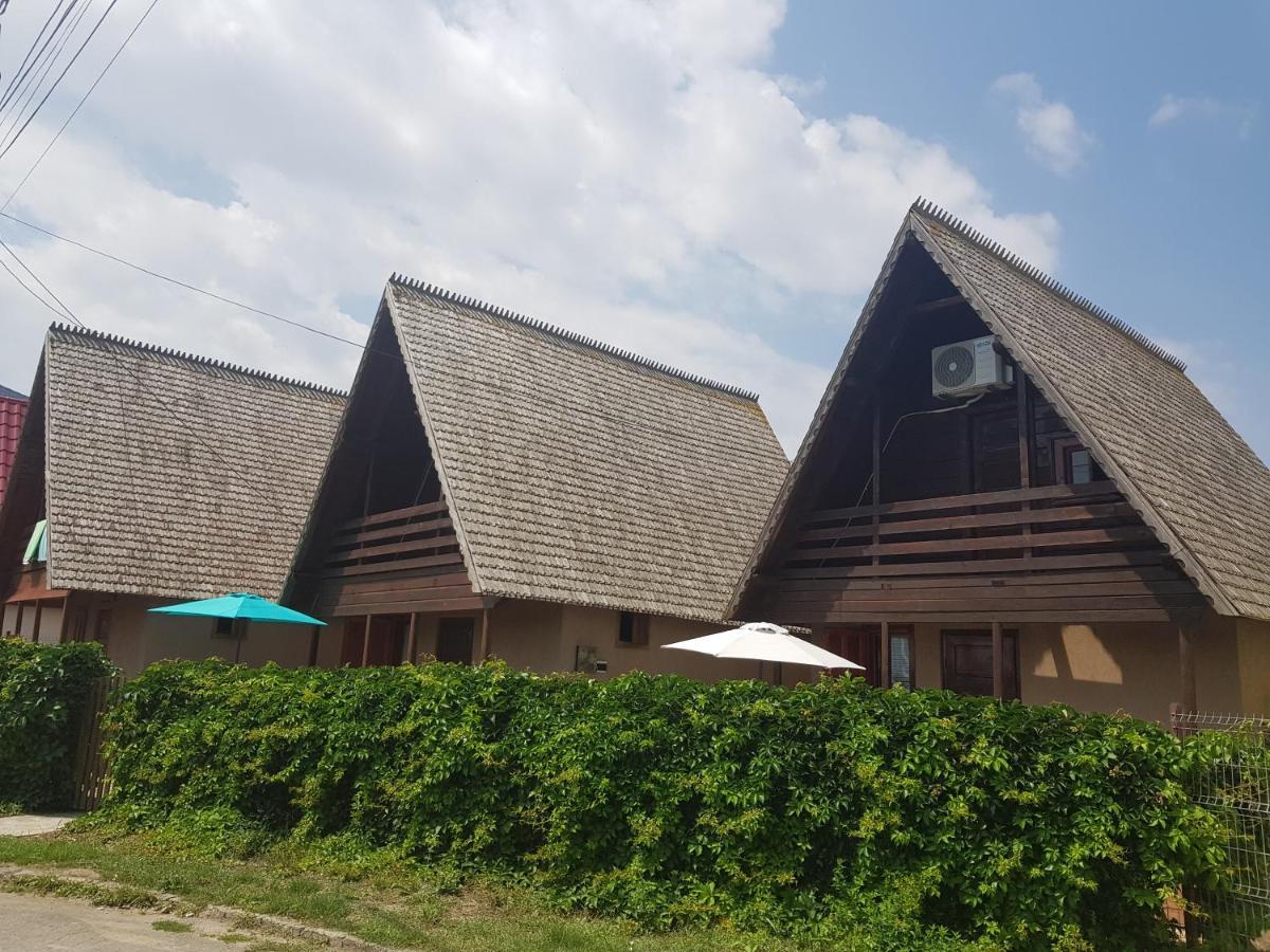 Casutele Intim Villa Костинещи Екстериор снимка